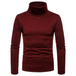 Charger l&#39;image dans la galerie, Gym Fitness Solid Men&#39;s Turtleneck Knitted Sweater High Collar Pullover Tops
