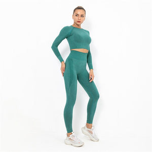 Seamless Yoga Set Sport Outfits Women Pink Two 2 Piece Long Sleeve Crop Top Butt Leggings Workout Gym suit Fitness Sport Sets