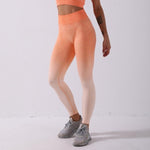 Cargar imagen en el visor de la galería, Women&#39;s Seamless Sport Set  2 Two Piece Crop Top Bra Leggings Workout Outfit Fitness Gym Suit Sport Wear Yoga Sets
