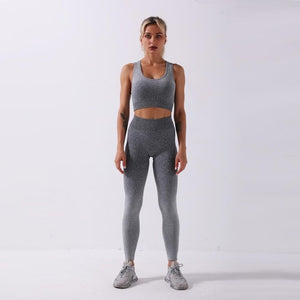 Women's Seamless Sport Set  2 Two Piece Crop Top Bra Leggings Workout Outfit Fitness Gym Suit Sport Wear Yoga Sets