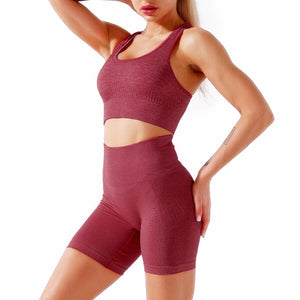 Women's Seamless 2 Piece Workout Gym Yoga Shorts High Waist Seamless Leggings with Sport Bra Set